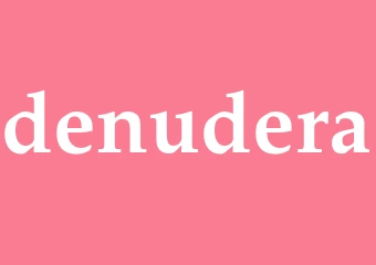 Synonym denudera