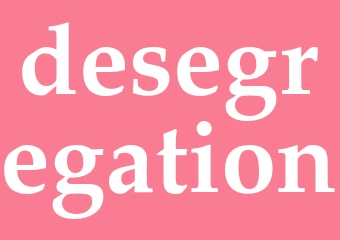 Synonym desegregation