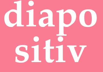 Synonym diapositiv