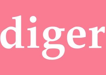 Synonym diger