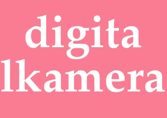 Synonym digitalkamera