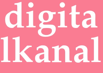 Synonym digitalkanal