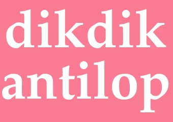 Synonym dikdikantilop