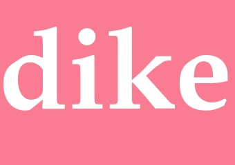 Synonym dike