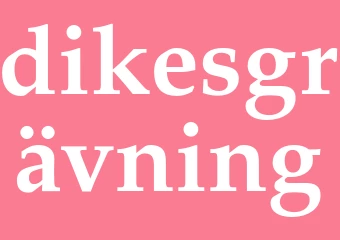 Synonym dikesgrävning