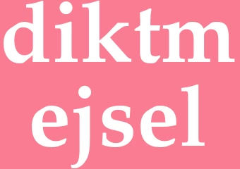 Synonym diktmejsel