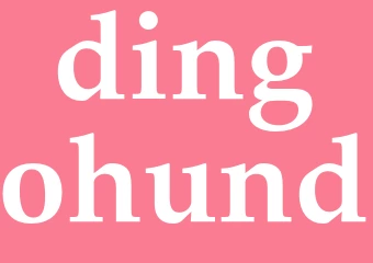 Synonym dingohund