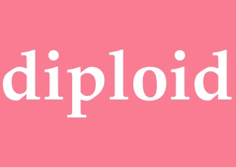 Synonym diploid