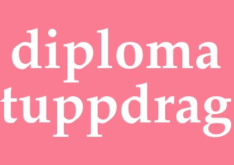 Synonym diplomatuppdrag