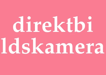 Synonym direktbildskamera