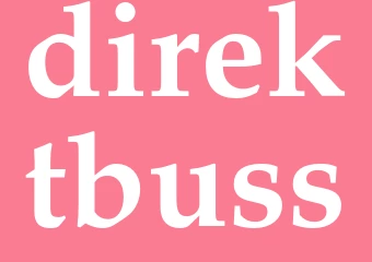 Synonym direktbuss