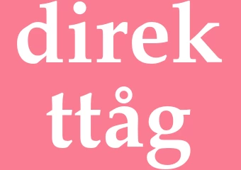 Synonym direkttåg