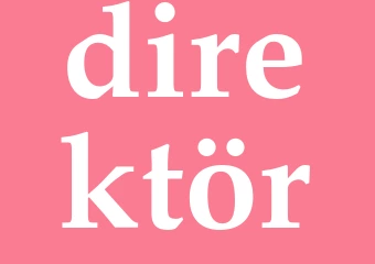 Synonym direktör