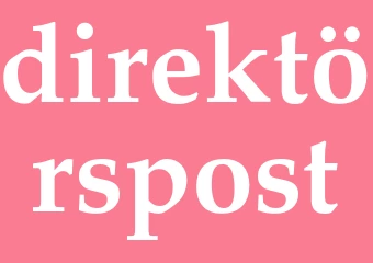 Synonym direktörspost