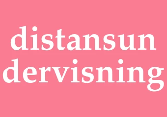 Synonym distansundervisning