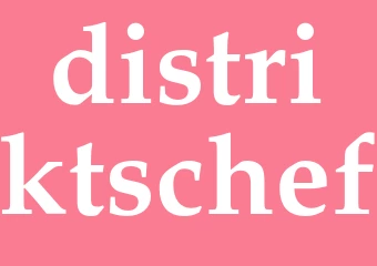 Synonym distriktschef