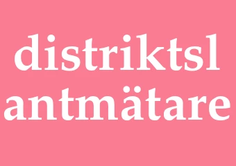 Synonym distriktslantmätare