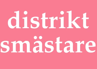 Synonym distriktsmästare