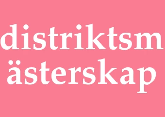 Synonym distriktsmästerskap