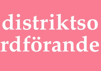 Synonym distriktsordförande