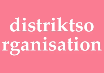 Synonym distriktsorganisation
