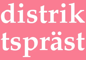 Synonym distriktspräst