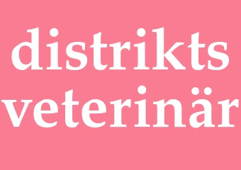 Synonym distriktsveterinär