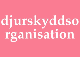Synonym djurskyddsorganisation