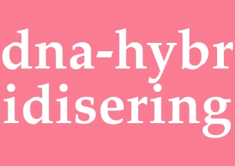 Synonym dna-hybridisering
