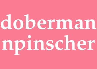 Synonym dobermannpinscher