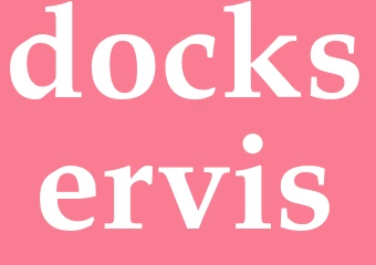 Synonym dockservis