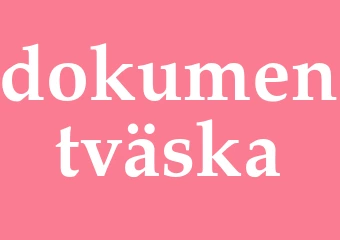 Synonym dokumentväska