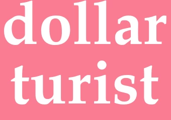 Synonym dollarturist