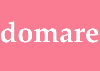 Synonym domare
