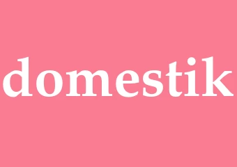 Synonym domestik