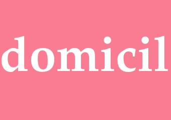 Synonym domicil