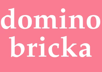 Synonym dominobricka