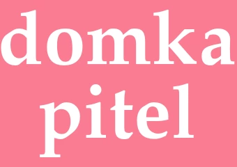 Synonym domkapitel