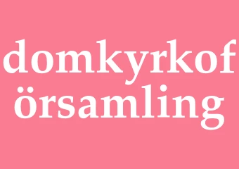 Synonym domkyrkoförsamling