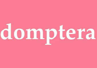 Synonym domptera