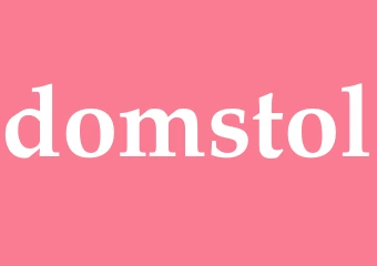 Synonym domstol
