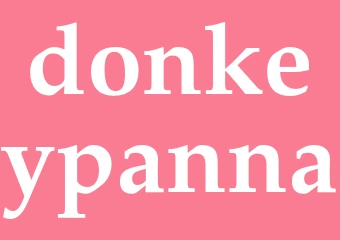 Synonym donkeypanna