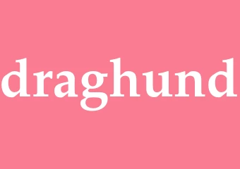 Synonym draghund