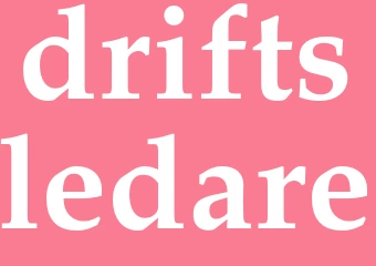 Synonym driftsledare