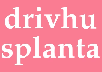 Synonym drivhusplanta