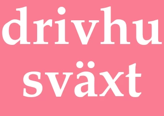 Synonym drivhusväxt