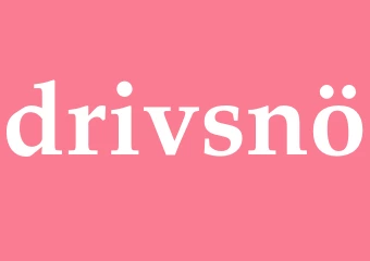 Synonym drivsnö