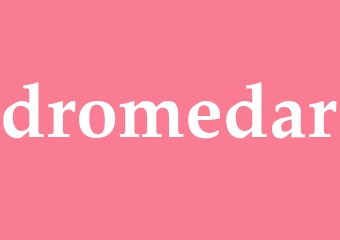 Synonym dromedar