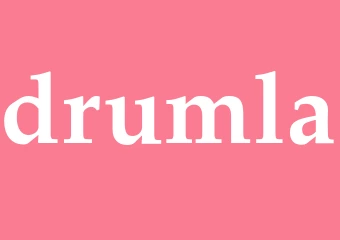 Synonym drumla