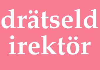 Synonym drätseldirektör
